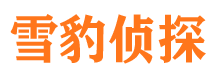 九原市调查公司